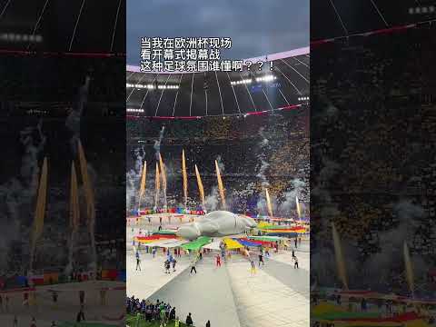 王曼昱战胜,孙颖莎,夺得亚洲杯,世界杯小组赛,2026世界杯,小组赛赛程,球队分析,赛事预测