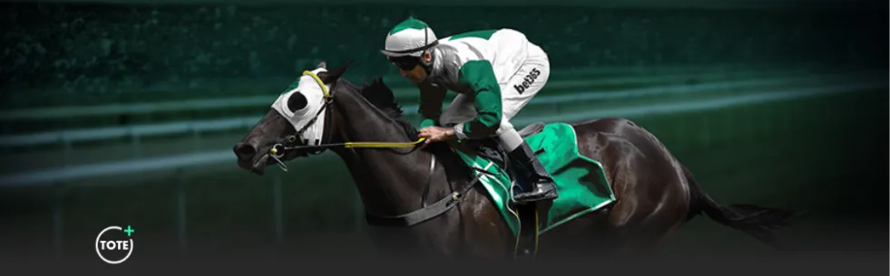 比爾森,力克國際米,歐冠次輪領,世界杯小组赛,2026世界杯,小组赛赛程,球队分析,赛事预测