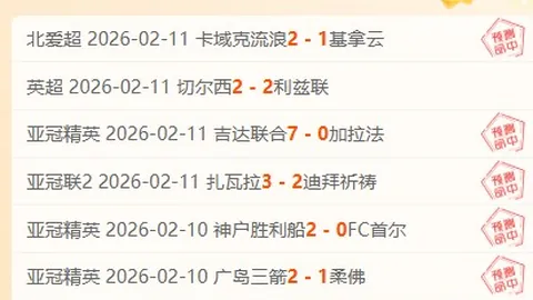 阿尔马达：一击命中，期待赛场上证明入选价值