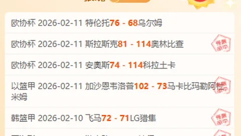 多特3-2险胜霍芬海姆，哈兰德进球后受伤离场 罗伊斯表现救主